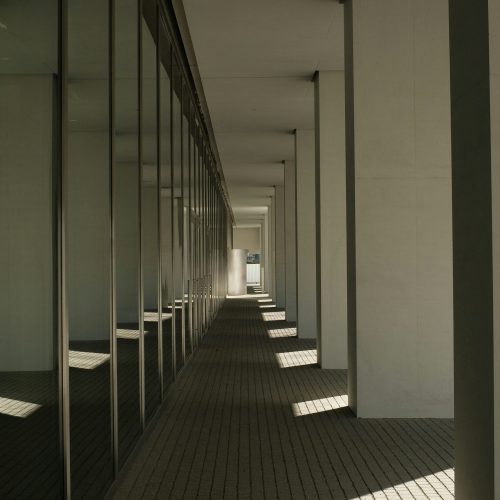 aliaksei-lepik-FCuJVKlozdU-unsplash